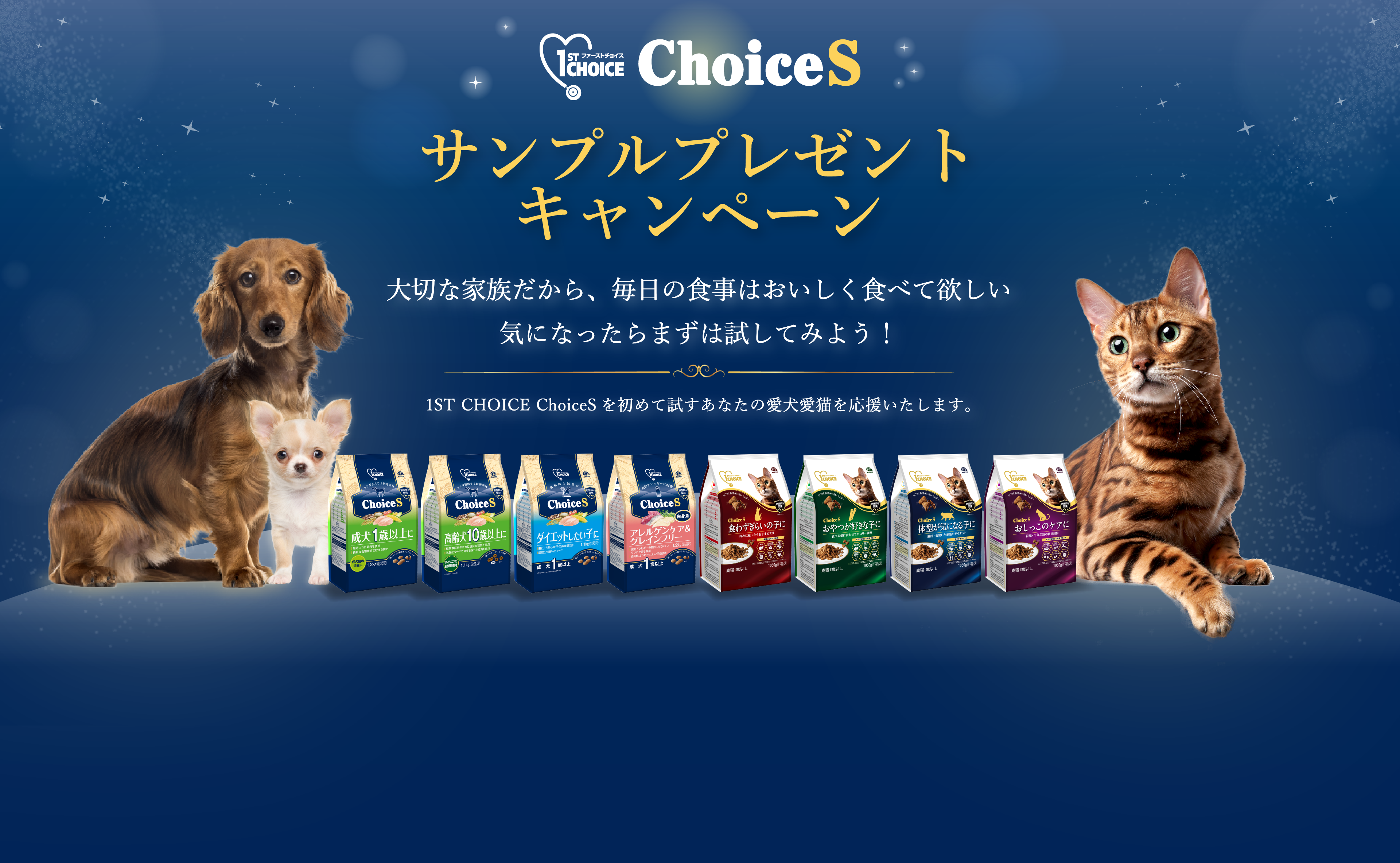 ファーストチョイス Choice S サンプルプレゼントキャンペーン｜応募期間 2026年6月1日(月)〜12月31日(日)まで