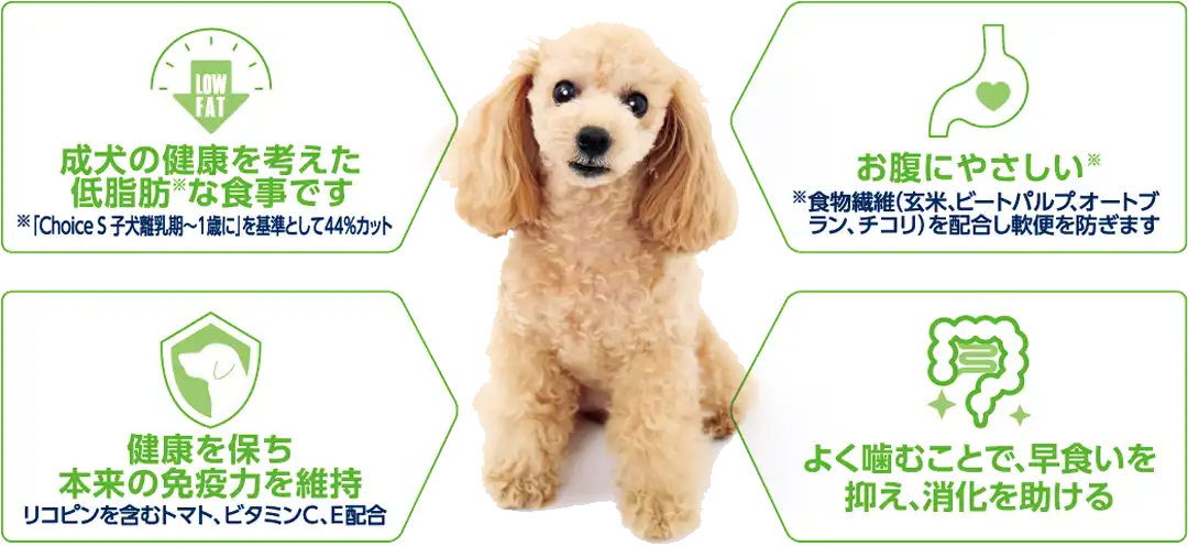 成犬1歳以上に カラダよろこぶ厳選素材 | ドッグフード［Choice S